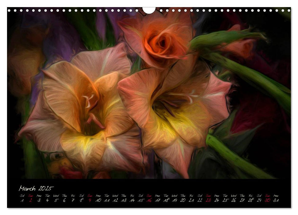 Gladiolus Floral Impressions (CALVENDO Monthly Calendar 2025)