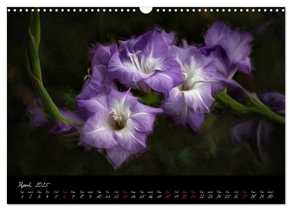 Gladiolus Floral Impressions (CALVENDO Monthly Calendar 2025)