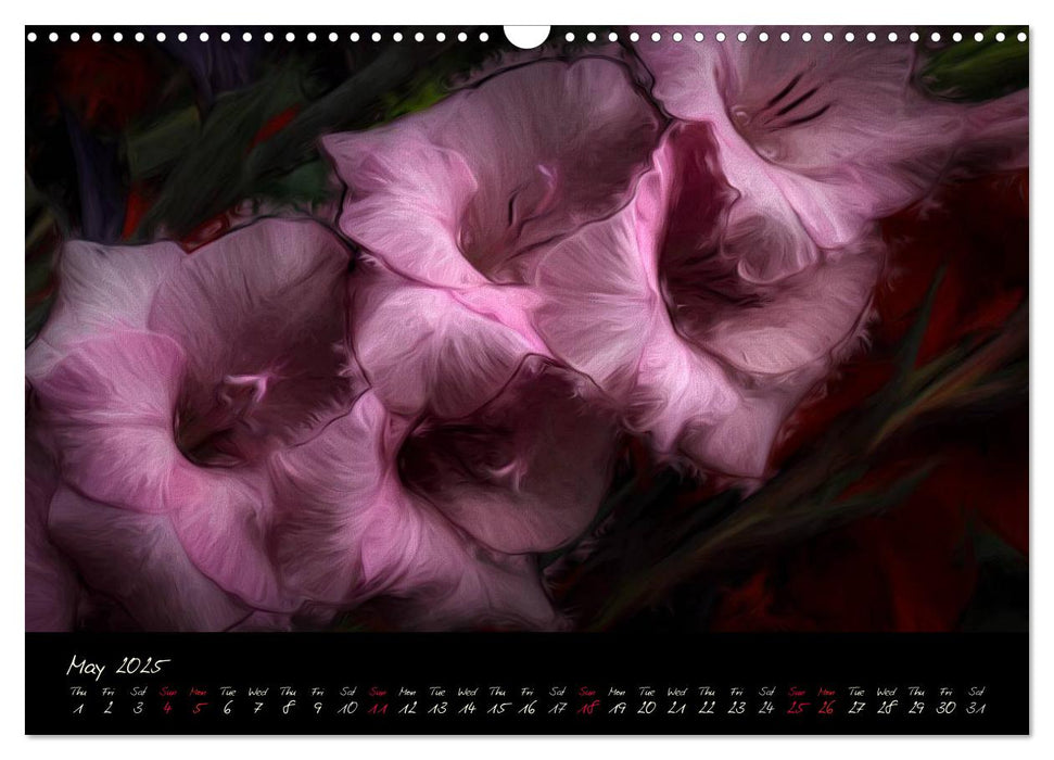 Gladiolus Floral Impressions (CALVENDO Monthly Calendar 2025)