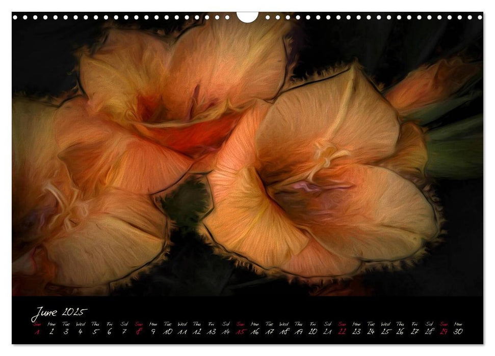 Gladiolus Floral Impressions (CALVENDO Monthly Calendar 2025)