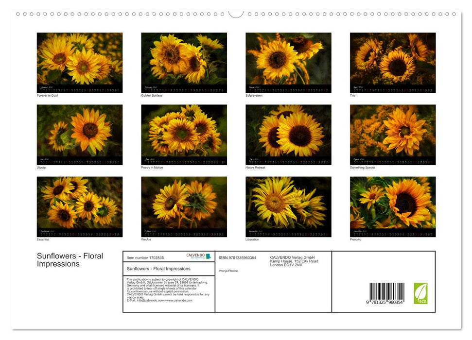 Sunflowers - Floral Impressions (CALVENDO Premium-Calendar 2025)