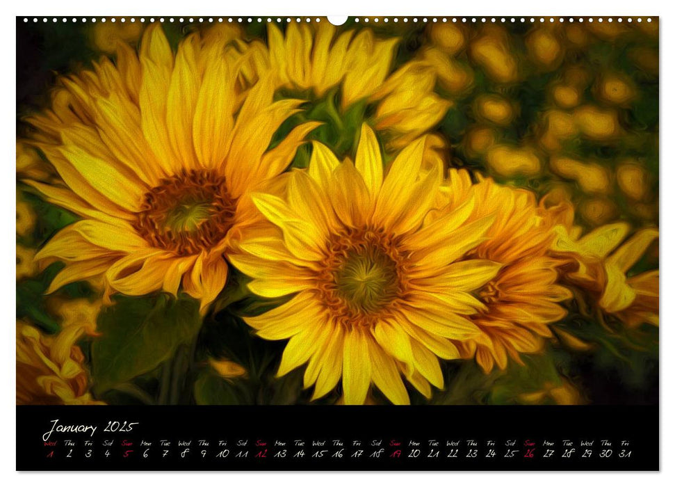 Sunflowers - Floral Impressions (CALVENDO Premium-Calendar 2025)