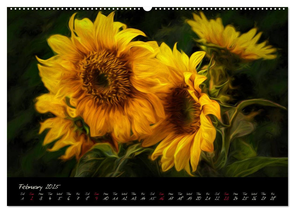 Sunflowers - Floral Impressions (CALVENDO Premium-Calendar 2025)