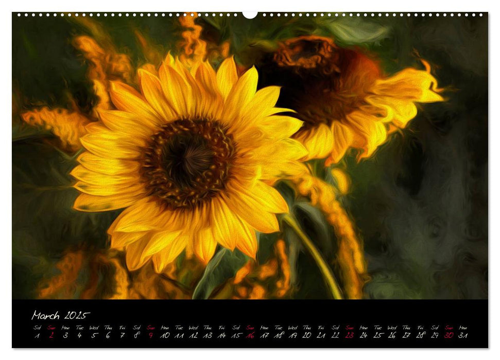 Sunflowers - Floral Impressions (CALVENDO Premium-Calendar 2025)