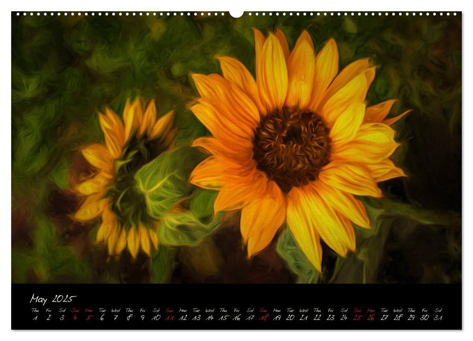 Sunflowers - Floral Impressions (CALVENDO Premium-Calendar 2025)