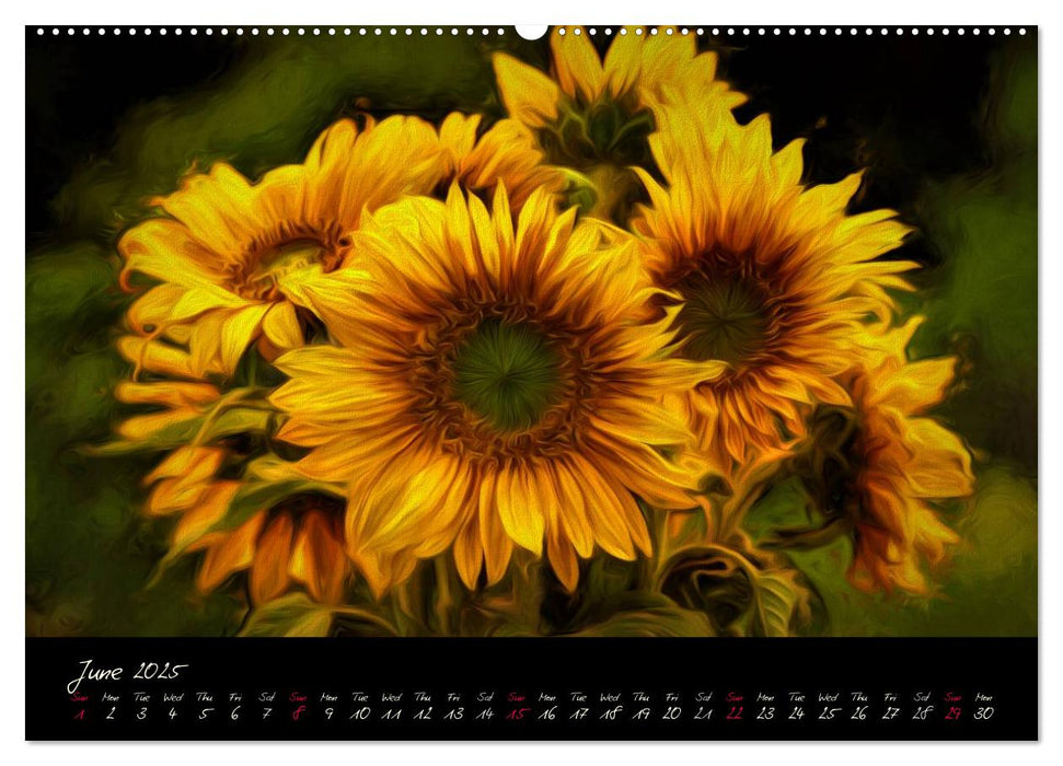 Sunflowers - Floral Impressions (CALVENDO Premium-Calendar 2025)