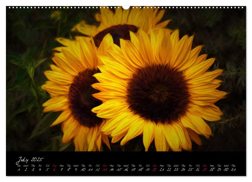 Sunflowers - Floral Impressions (CALVENDO Premium-Calendar 2025)