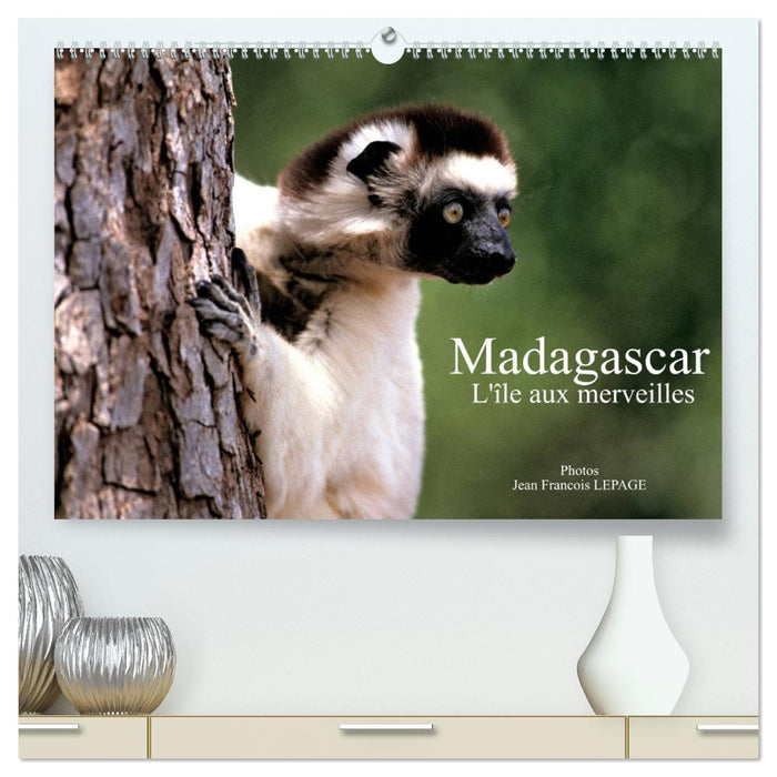 Madagascar L'île aux merveilles (CALVENDO Calendrier supérieur 2025)