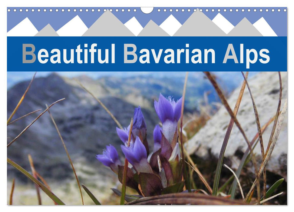 Beautiful Bavarian Alps (CALVENDO Monthly Calendar 2025)