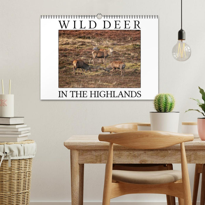 Wild Deer In The Highlands (CALVENDO Monthly Calendar 2025)