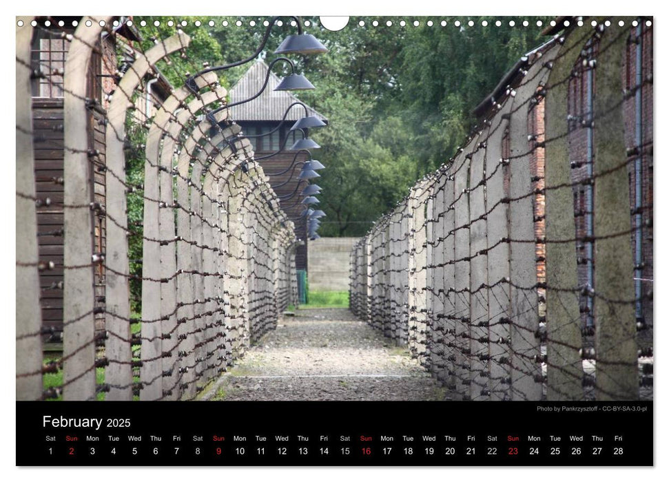 Monuments of Poland 2025 (CALVENDO Monthly Calendar 2025)