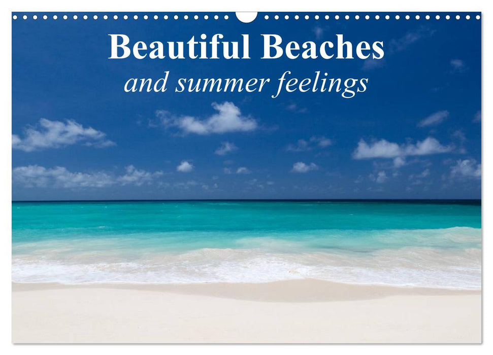 Beautiful Beaches and summer feelings (CALVENDO Monthly Calendar 2025)