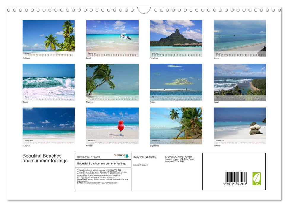 Beautiful Beaches and summer feelings (CALVENDO Monthly Calendar 2025)