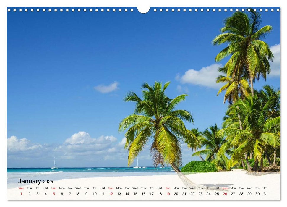 Beautiful Beaches and summer feelings (CALVENDO Monthly Calendar 2025)