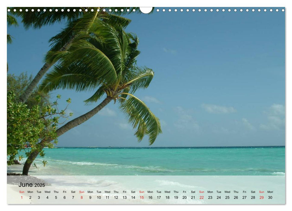 Beautiful Beaches and summer feelings (CALVENDO Monthly Calendar 2025)