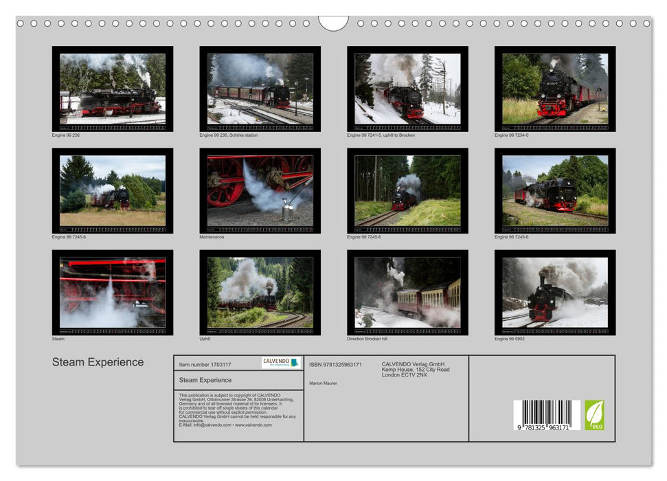 Steam Experience (CALVENDO Monthly Calendar 2025)