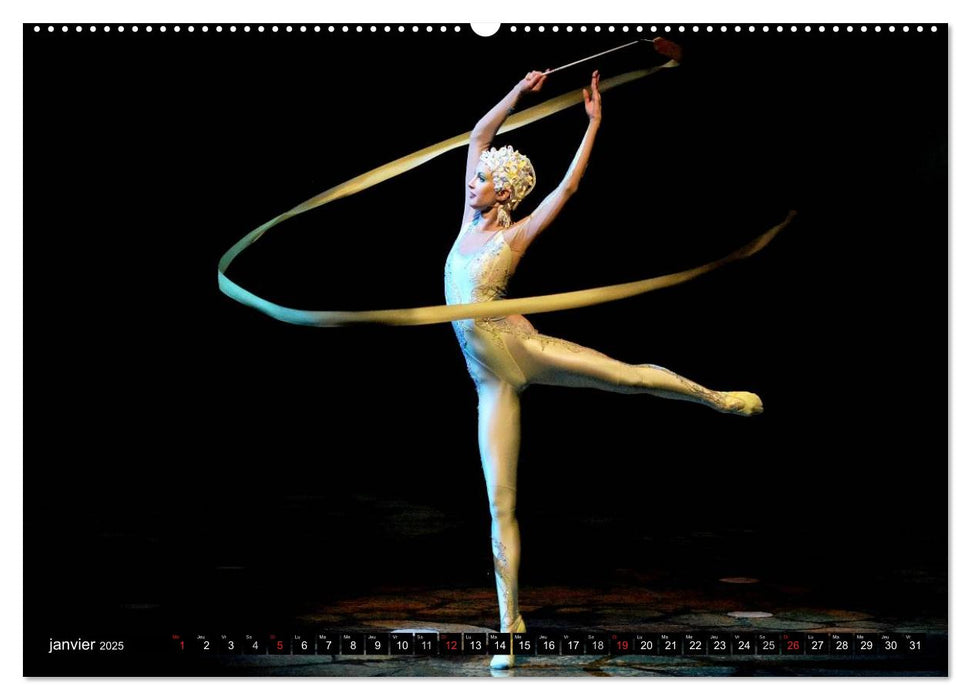 Alegria, Cirque du Soleil (CALVENDO Calendrier supérieur 2025)