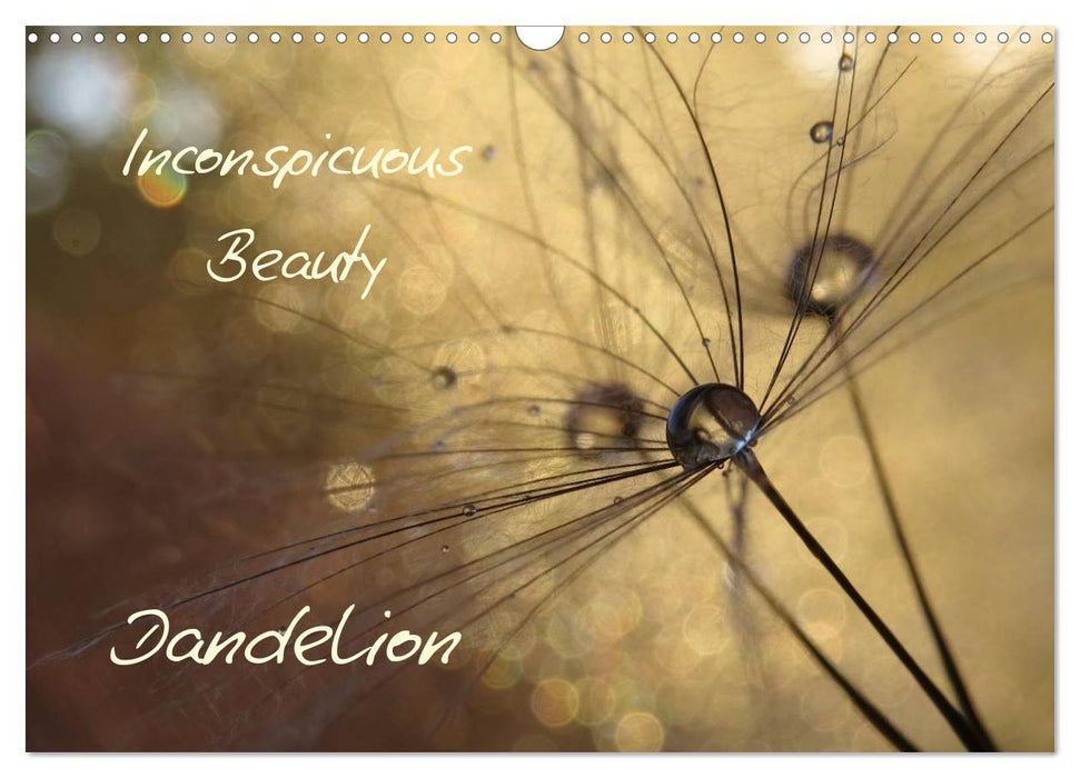 Inconspicuous Beauty - Dandelion (CALVENDO Monthly Calendar 2025)