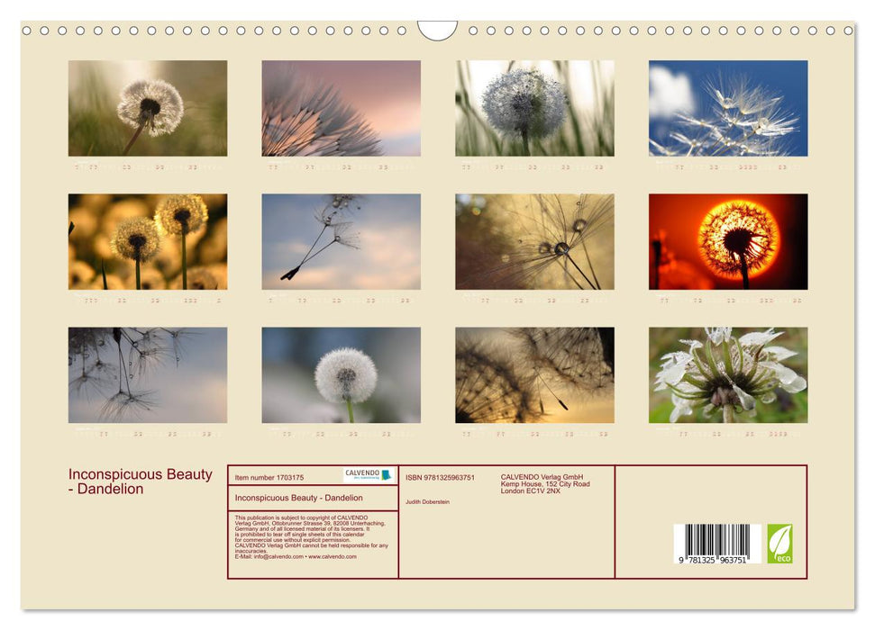 Inconspicuous Beauty - Dandelion (CALVENDO Monthly Calendar 2025)