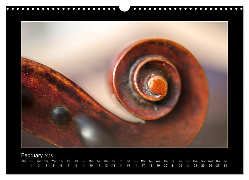 A violin only (CALVENDO Monthly Calendar 2025)