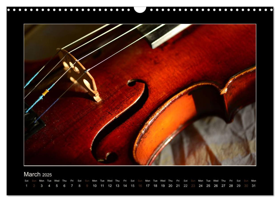 A violin only (CALVENDO Monthly Calendar 2025)