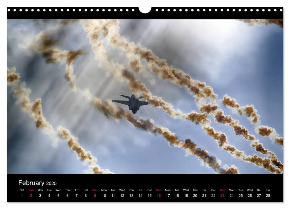 FOCUS ON 2025 Aviation Photography of Nick Delhanidis (CALVENDO Monthly Calendar 2025)