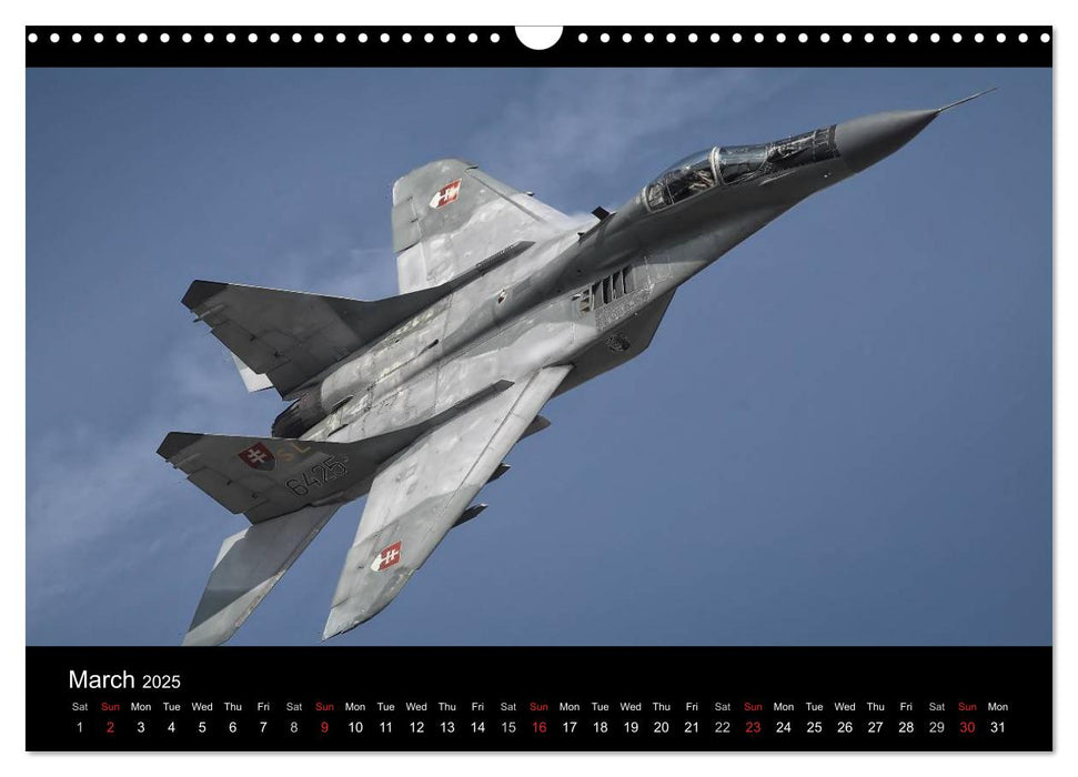 FOCUS ON 2025 Aviation Photography of Nick Delhanidis (CALVENDO Monthly Calendar 2025)