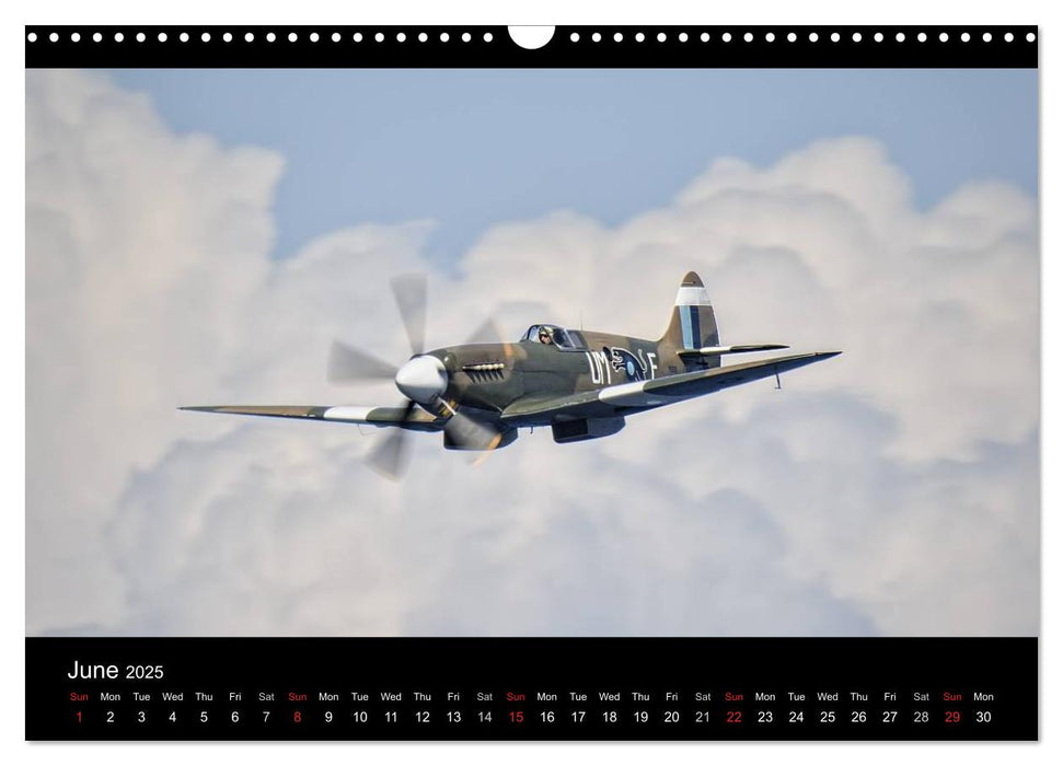 FOCUS ON 2025 Aviation Photography of Nick Delhanidis (CALVENDO Monthly Calendar 2025)