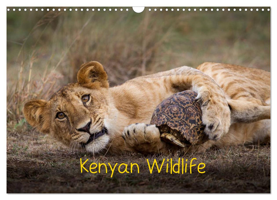 Kenyan Wildlife (CALVENDO Monthly Calendar 2025)