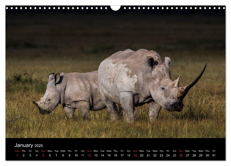 Kenyan Wildlife (CALVENDO Monthly Calendar 2025)