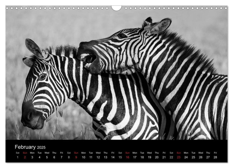 Kenyan Wildlife (CALVENDO Monthly Calendar 2025)