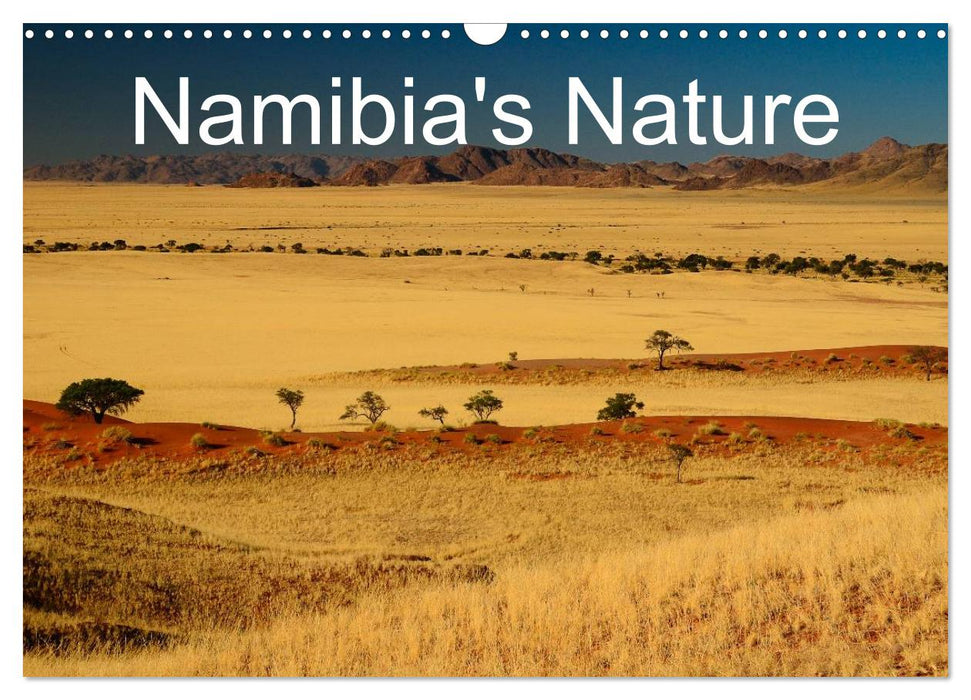 Namibia's Nature (CALVENDO Monthly Calendar 2025)