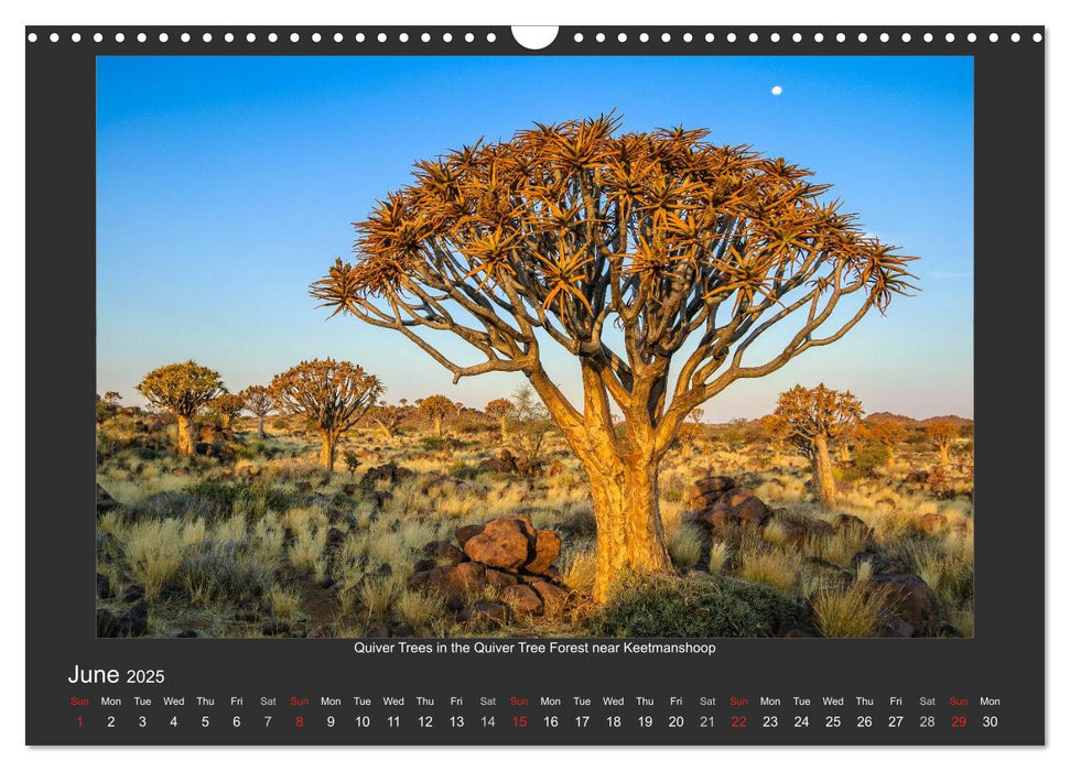 Namibia's Nature (CALVENDO Monthly Calendar 2025)