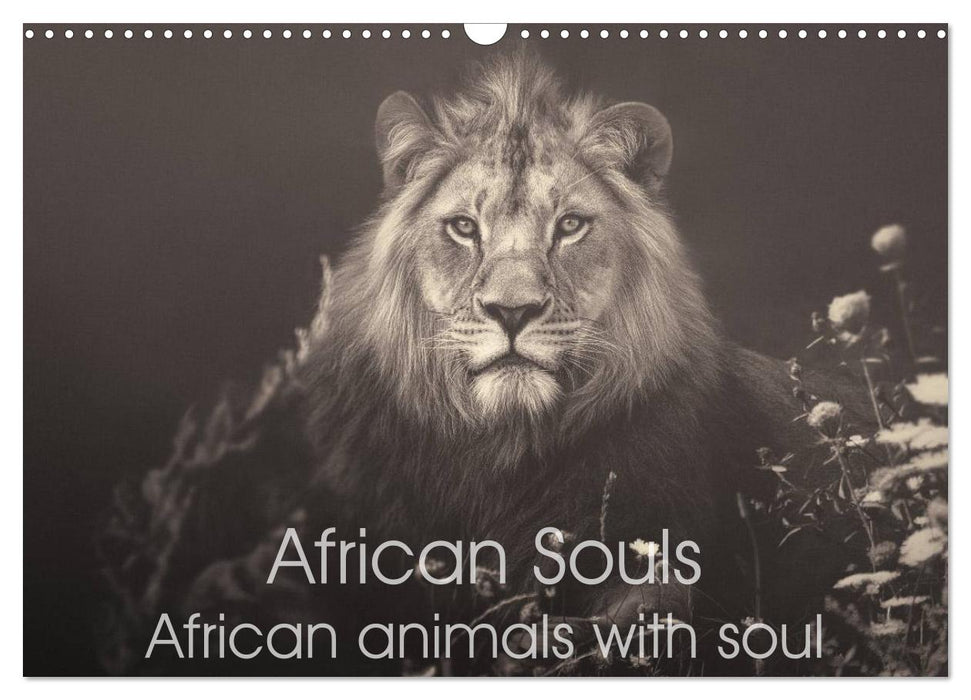 African Souls African animals with soul (CALVENDO Monthly Calendar 2025)