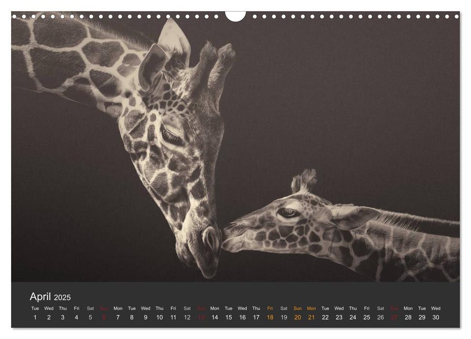 African Souls African animals with soul (CALVENDO Monthly Calendar 2025)