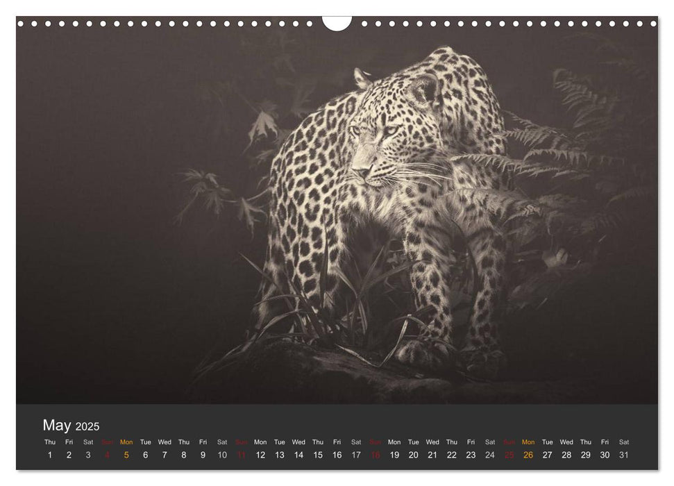 African Souls African animals with soul (CALVENDO Monthly Calendar 2025)