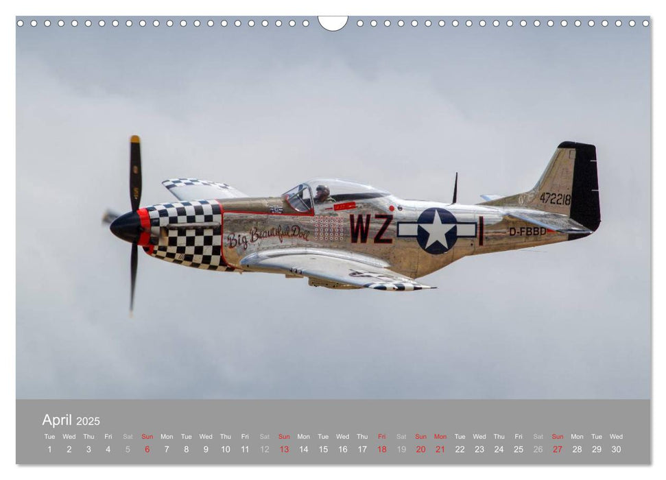 The Flying Legends (CALVENDO Monthly Calendar 2025)