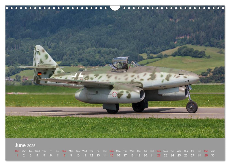 The Flying Legends (CALVENDO Monthly Calendar 2025)