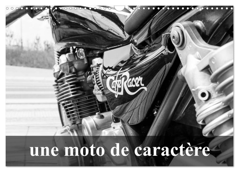 Une moto de caractère (CALVENDO Calendrier mensuel 2025)