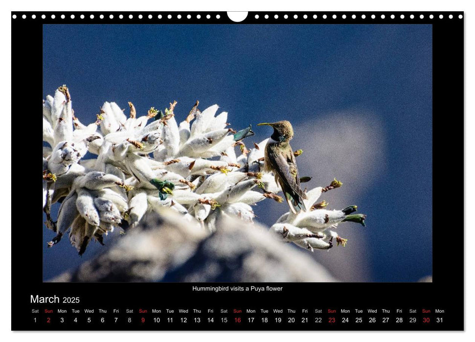 Exotic Peru (CALVENDO Monthly Calendar 2025)