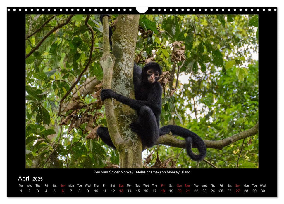 Exotic Peru (CALVENDO Monthly Calendar 2025)