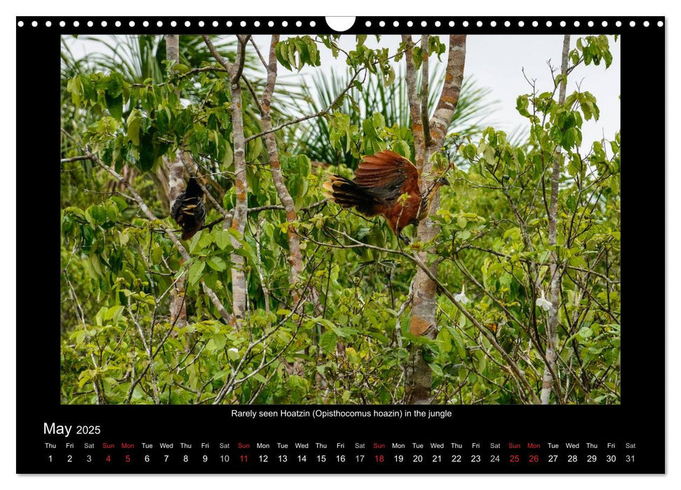 Exotic Peru (CALVENDO Monthly Calendar 2025)