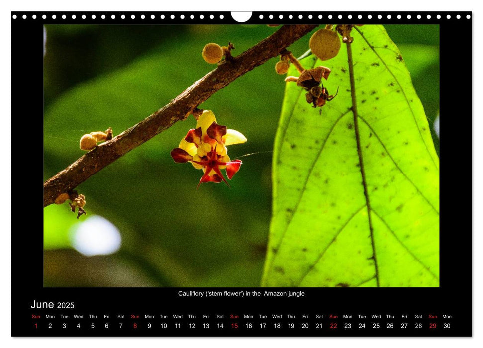 Exotic Peru (CALVENDO Monthly Calendar 2025)