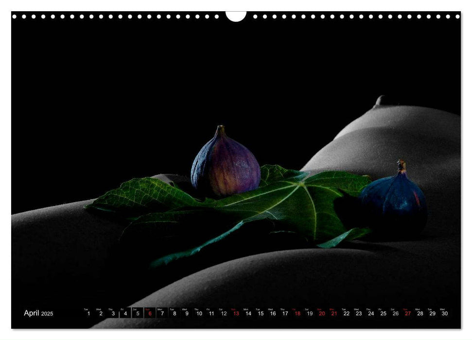 Fruit Nudes (CALVENDO Monthly Calendar 2025)