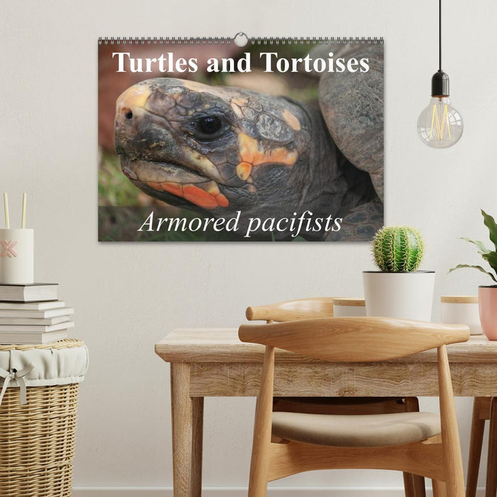 Turtles and Tortoises - Armored pacifists (CALVENDO Monthly Calendar 2025)