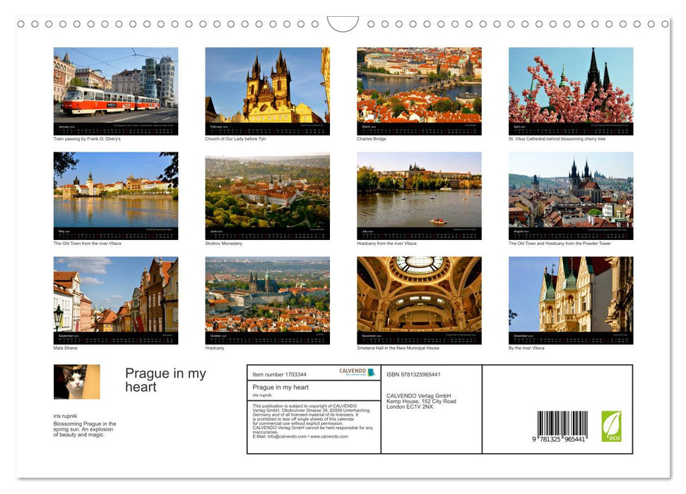 Prague in my heart (CALVENDO Monthly Calendar 2025)