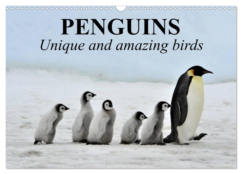 Penguins Unique and amazing birds (CALVENDO Monthly Calendar 2025)