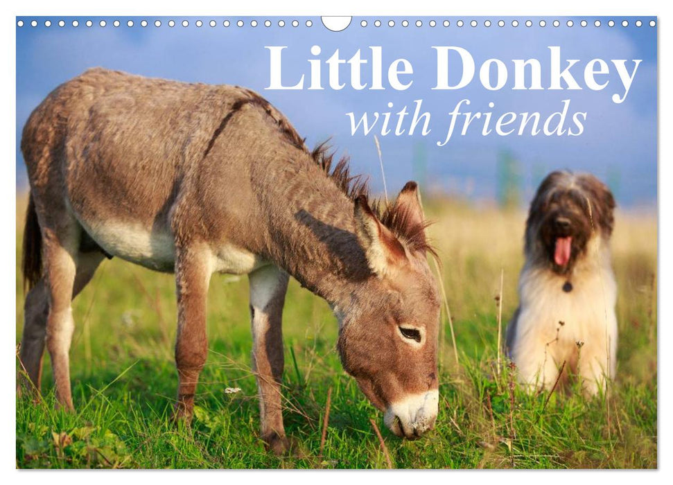 Little Donkey with Friends (CALVENDO Monthly Calendar 2025)