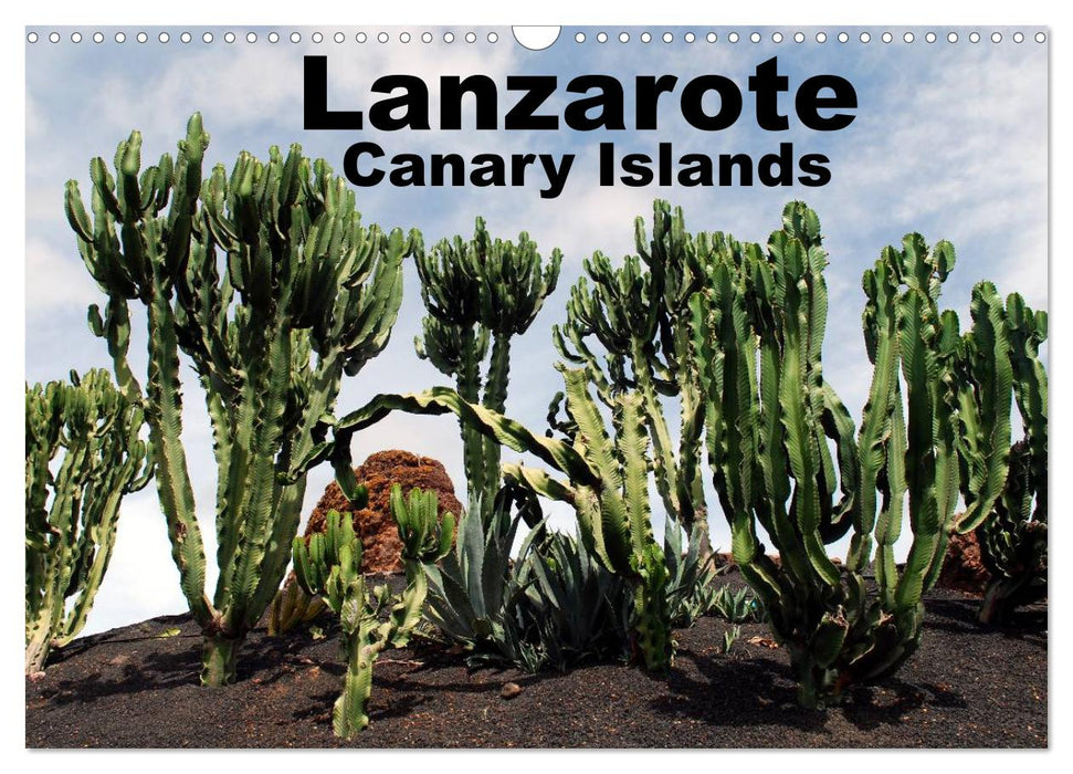 Lanzarote - Canary Islands (CALVENDO Monthly Calendar 2025)