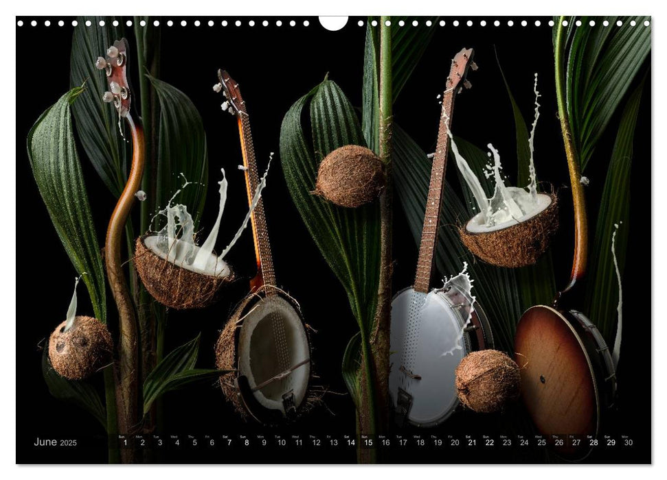 Musica fabulosa (CALVENDO Monthly Calendar 2025)